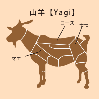 ヤギ肉 遠山ジビエとジンギスカン 肉のスズキヤ