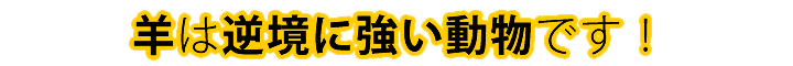 羊は逆境に強い動物です！