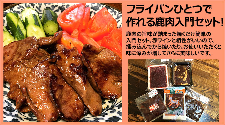遠山ジビエ 鹿肉入門セット