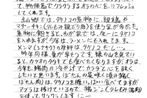 若旦那のお便り　 遠山郷