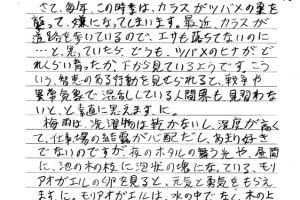 若旦那のお便り　異常気象