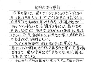 遠山郷 若旦那のお便り
