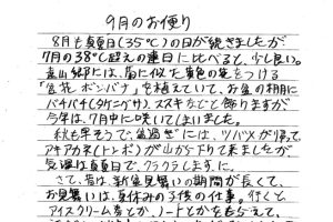 若旦那のお便り 遠山郷