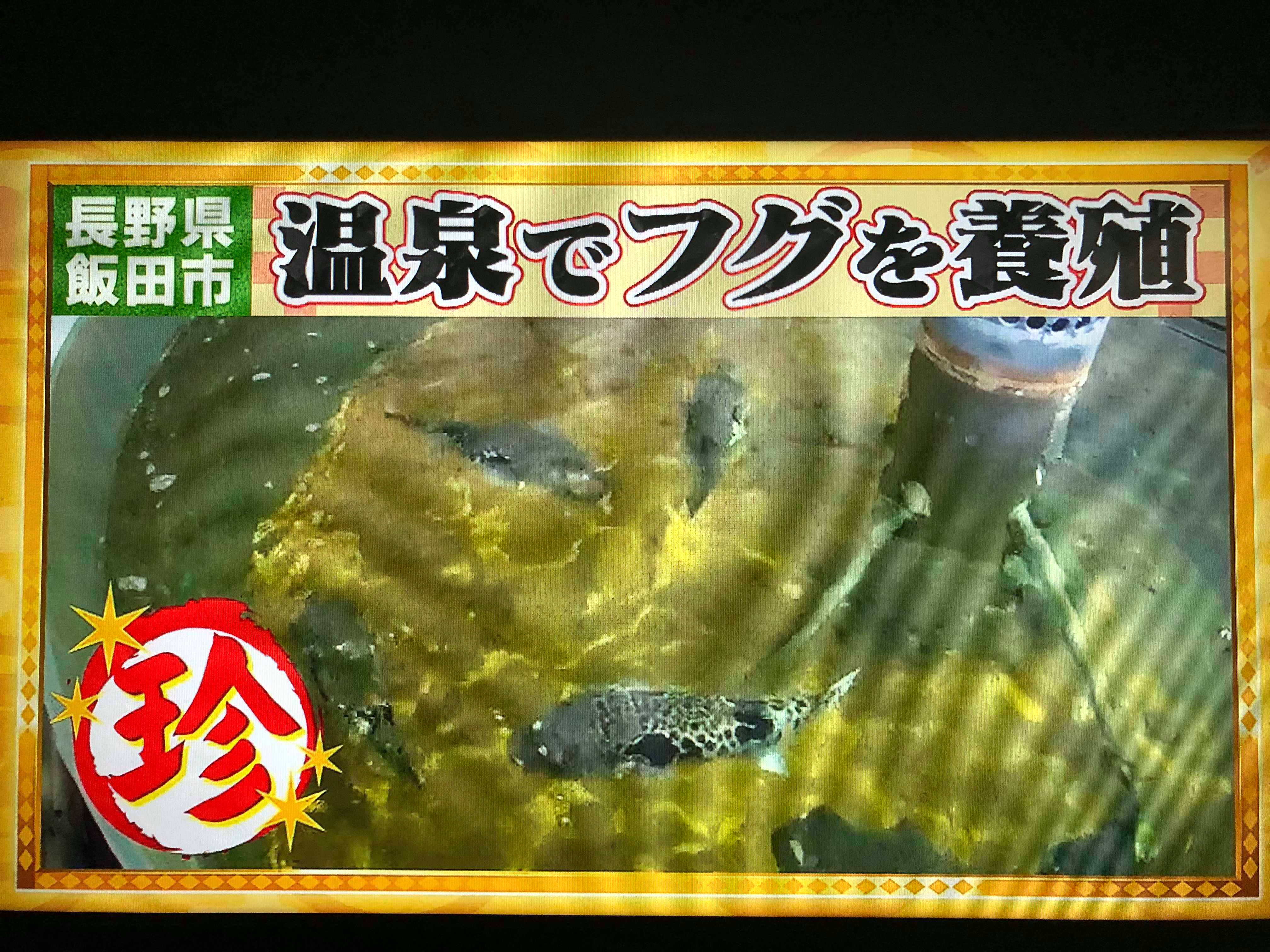 ナニコレ珍百景 山奥のトラフグと熊肉 ジンギスカンと天然ジビエ 肉のスズキヤ ナニコレ珍百景 山奥のトラフグと熊肉 ジンギスカンと天然ジビエ 肉のスズキヤ
