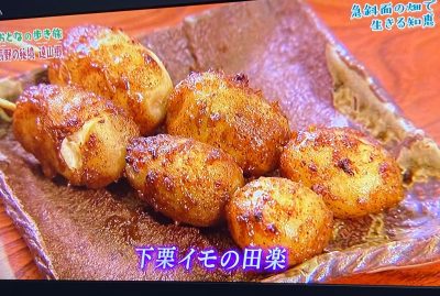 下栗芋　NHK「趣味どきっ！おとなの歩き旅」長野　遠山郷