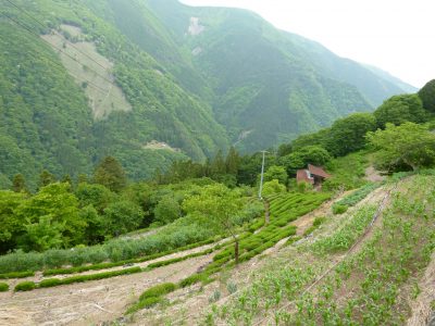 遠山郷　下栗の里