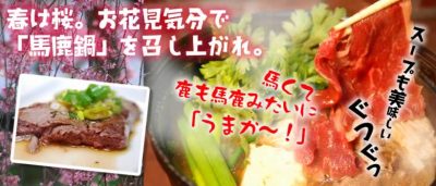 馬鹿鍋セットが今週末の特売です ジンギスカンと天然ジビエ 肉のスズキヤ