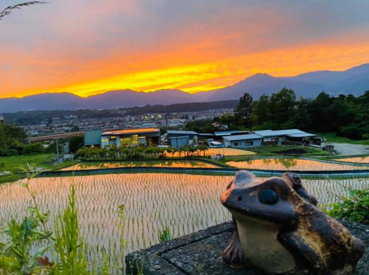 ＃飯田市　＃無事カエル