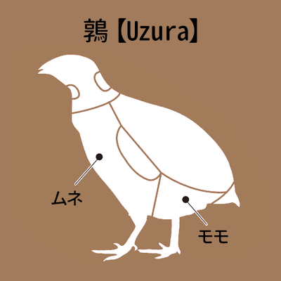 ウズラ肉 遠山ジビエとジンギスカン 肉の鈴木屋