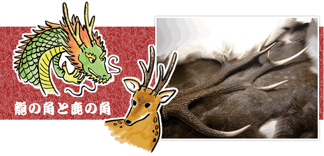 龍の角と鹿の角の謂れ。龍の立て神守り | 【ジンギスカンと天然ジビエ
