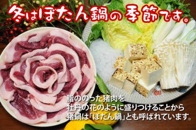 飯田市　ぼたん鍋　イノシシ　猪肉　囲炉裏